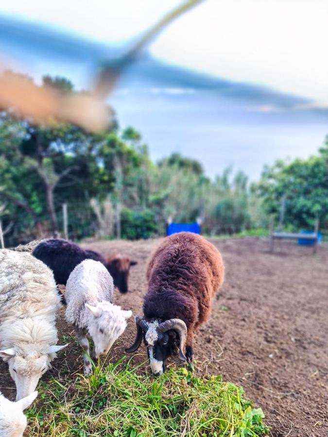 Quinta Do Caminho Da Igreja Ter-Casas De Campo เวลาส ภายนอก รูปภาพ